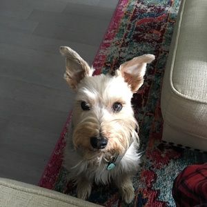 Meet your Posher, Kyung